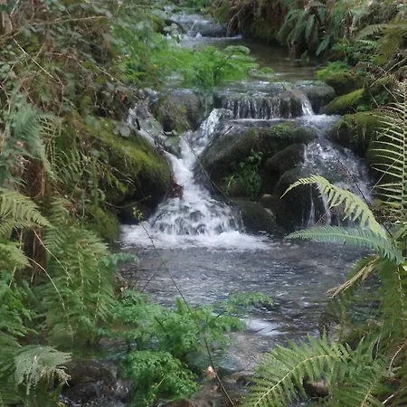 Quinta Dos Caibrais Gospodarstwo agroturystyczne Porcelhe