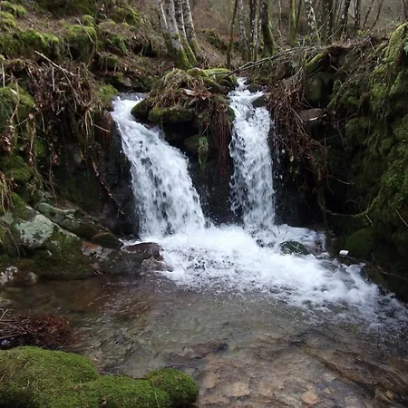 Feriegård Quinta Dos Caibrais *