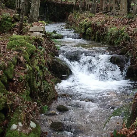 Quinta Dos Caibrais * Porcelhe