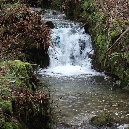 Quinta Dos Caibrais * Porcelhe