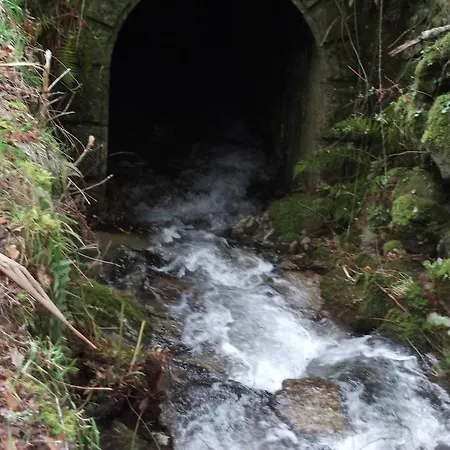 Quinta Dos Caibrais Feriegård