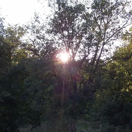 Feriegård Quinta Dos Caibrais