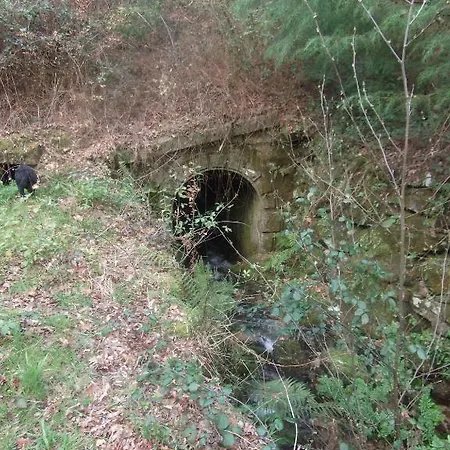 Quinta Dos Caibrais Farm stay Porcelhe