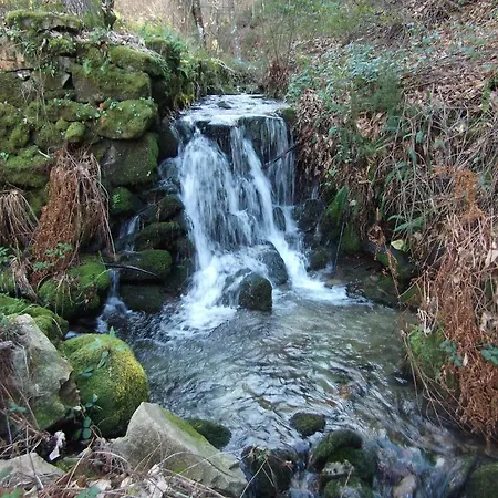 Quinta Dos Caibrais Oliveira de Frades