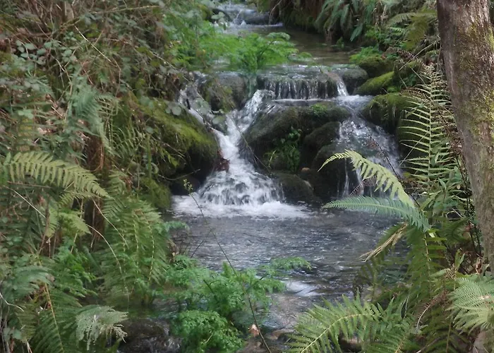 Quinta Dos Caibrais Gospodarstwo agroturystyczne Porcelhe