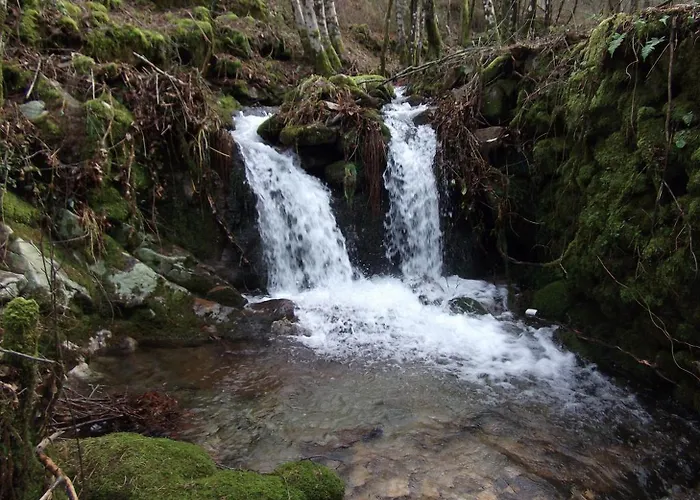 Agroturismo Quinta Dos Caibrais *
