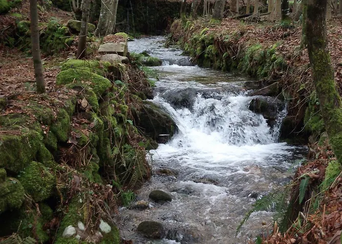 Quinta Dos Caibrais * Porcelhe