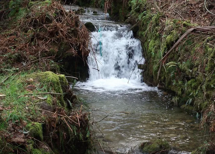 Quinta Dos Caibrais * Porcelhe
