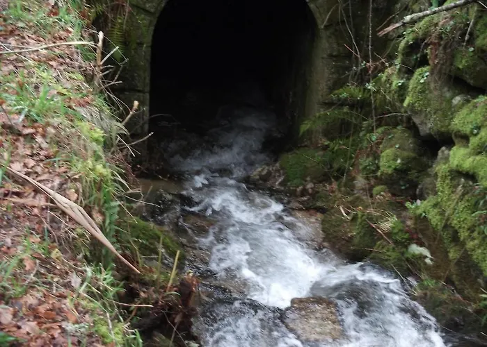 Quinta Dos Caibrais Gospodarstwo agroturystyczne