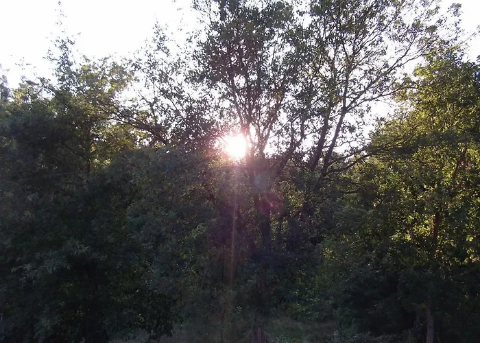 Gospodarstwo agroturystyczne Quinta Dos Caibrais