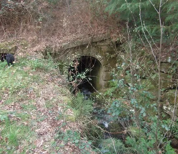 Quinta Dos Caibrais Gospodarstwo agroturystyczne Porcelhe