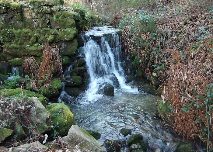 Quinta Dos Caibrais Porcelhe